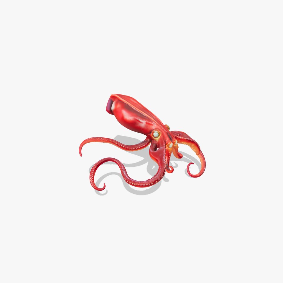 Vampire Squid 3D Model with Glowing Eyes